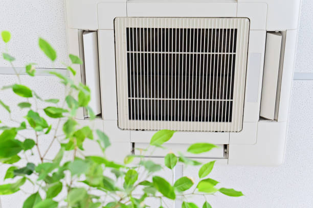 Best Air Duct Cleaning Near Me  in Standish, MI